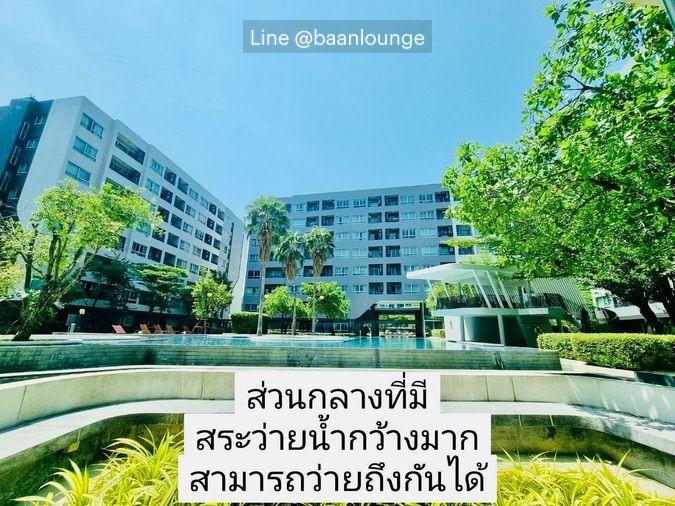 รูป Elio Del Ray (เอลลิโอ เดลเรย์) - รูปที่ 8/12