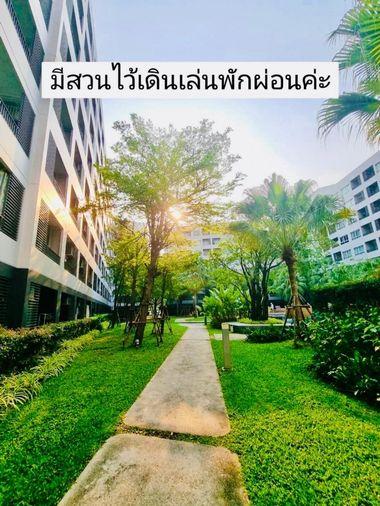 รูป Elio Del Ray (เอลลิโอ เดลเรย์) - รูปที่ 11/12