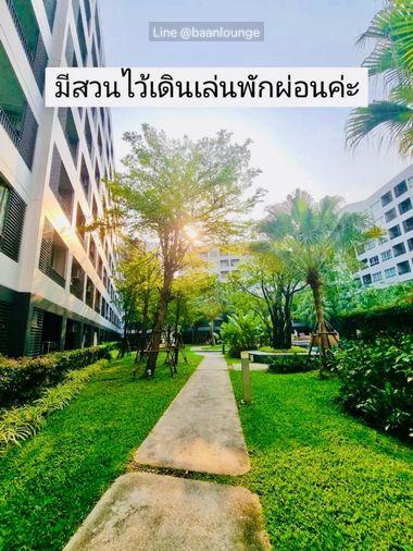 รูป Elio Del Ray (เอลลิโอ เดลเรย์) - รูปที่ 11/12