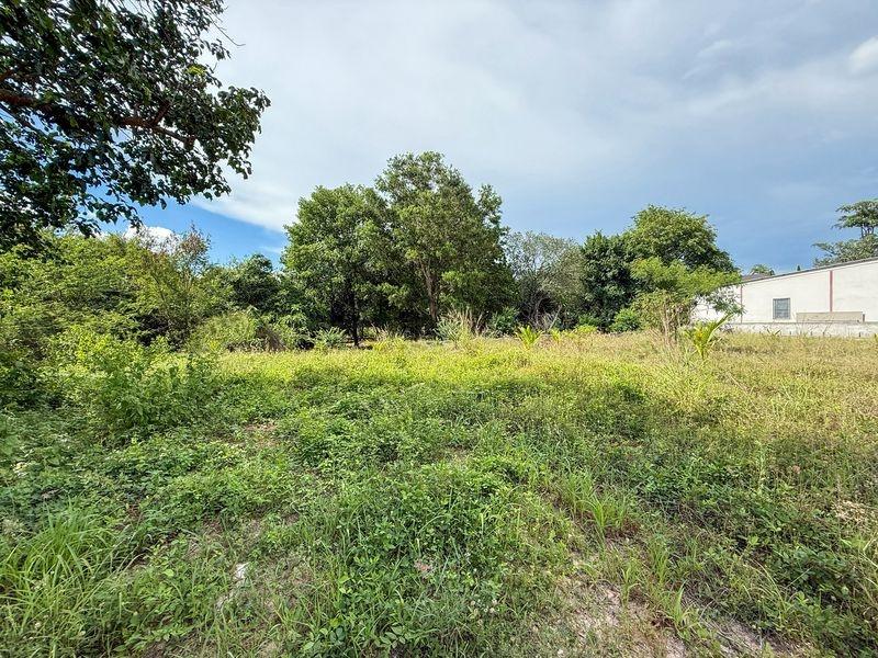 picture Land for sale in Na Phrao, Sriracha, beautiful plot, surrounded by villages and condos. - 11/14