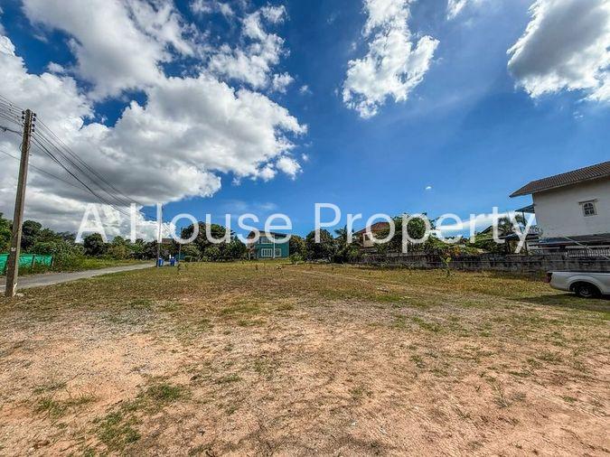 picture Land for sale in Sriracha, banana plantation, beautiful plot, good location, surrounded by villages - 6/11