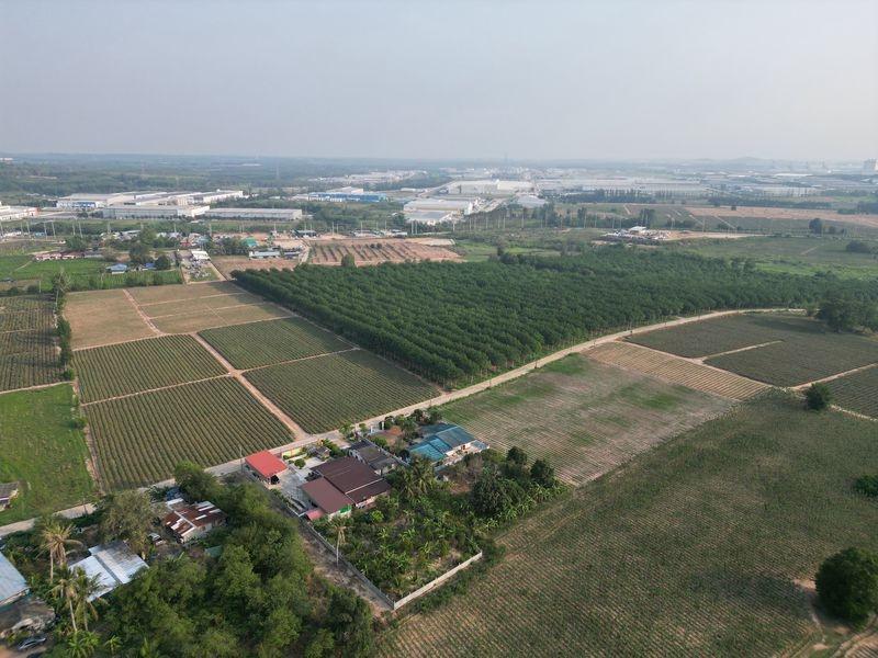 รูป ขายที่ดินแปลงสวย หนองขาม ศรีราชา ทำเลงาม ใกล้นิคมWHA - รูปที่ 10/10
