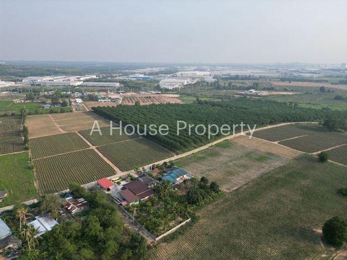รูป ขายที่ดินแปลงสวย หนองขาม ศรีราชา ทำเลงาม ใกล้นิคมWHA - รูปที่ 10/10