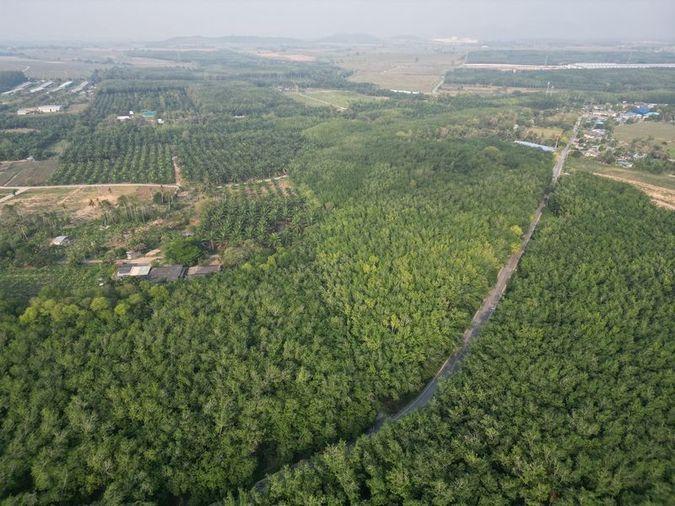 รูป ขายที่ดินแปลงสวย หนองขาม ศรีราชา ทำเลงาม ใกล้นิคมWHA - รูปที่ 5/10