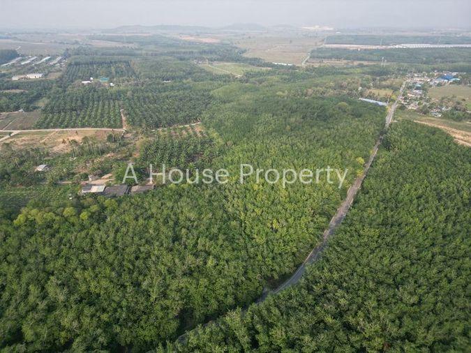รูป ขายที่ดินแปลงสวย หนองขาม ศรีราชา ทำเลงาม ใกล้นิคมWHA - รูปที่ 5/10