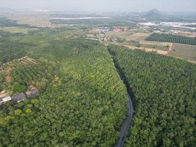 รูป ขายที่ดินแปลงสวย หนองขาม ศรีราชา ทำเลงาม ใกล้นิคมWHA - รูปที่ 4/10