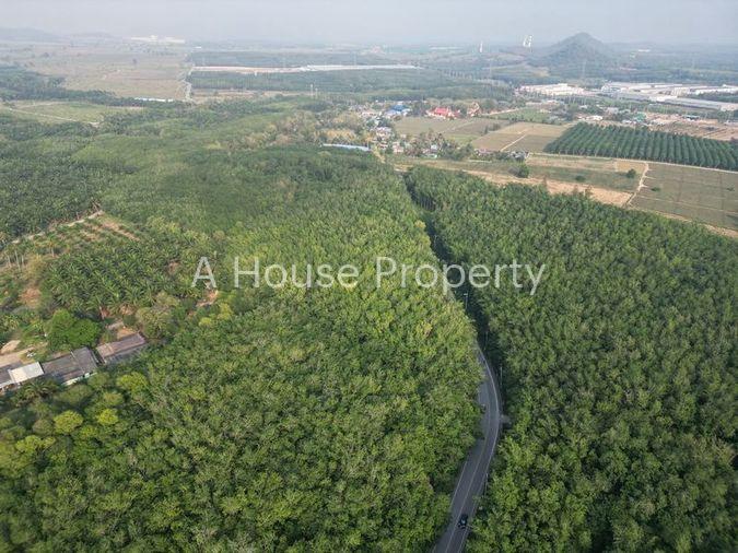 รูป ขายที่ดินแปลงสวย หนองขาม ศรีราชา ทำเลงาม ใกล้นิคมWHA - รูปที่ 4/10