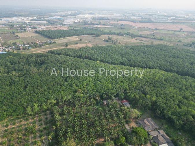 รูป ขายที่ดินแปลงสวย หนองขาม ศรีราชา ทำเลงาม ใกล้นิคมWHA - รูปที่ 7/10