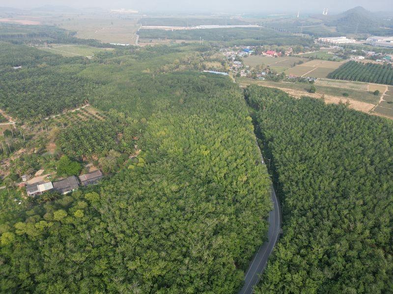รูป ขายที่ดินแปลงสวย หนองขาม ศรีราชา ทำเลงาม ใกล้นิคมWHA - รูปที่ 6/10