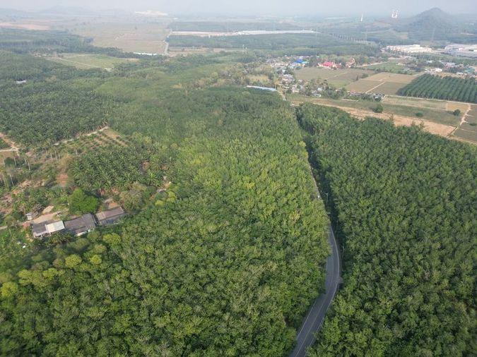 รูป ขายที่ดินแปลงสวย หนองขาม ศรีราชา ทำเลงาม ใกล้นิคมWHA - รูปที่ 6/10