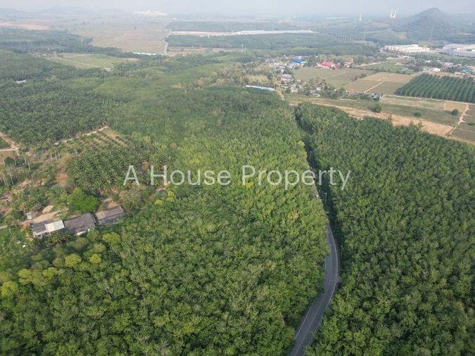 รูป ขายที่ดินแปลงสวย หนองขาม ศรีราชา ทำเลงาม ใกล้นิคมWHA - รูปที่ 6/10
