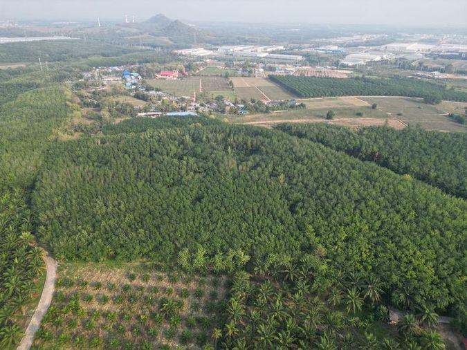 รูป ขายที่ดินแปลงสวย หนองขาม ศรีราชา ทำเลงาม ใกล้นิคมWHA - รูปที่ 3/10