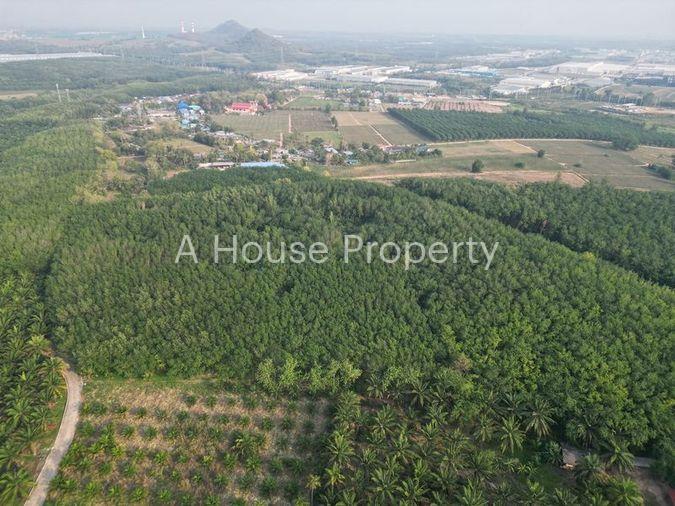 รูป ขายที่ดินแปลงสวย หนองขาม ศรีราชา ทำเลงาม ใกล้นิคมWHA - รูปที่ 3/10