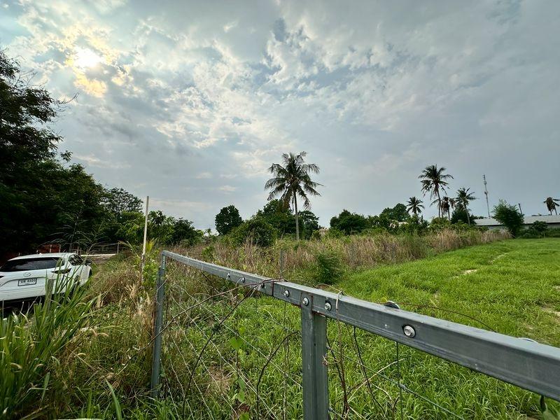 รูป ขายที่ดินเปล่าแปลงสวย ทำเลงาม โซนหนองขาม ศรีราชา ชลบุรี  - รูปที่ 5/12