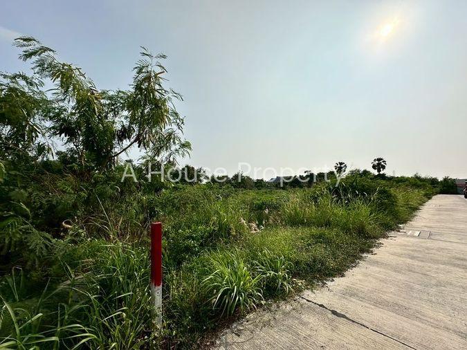 รูป ขายที่ดินเปล่าแปลงงาม เขตห้วยกะปิ เมืองชลบุรี ติดถนนหลัก ใกล้แหล่งชุมชน - รูปที่ 13/16