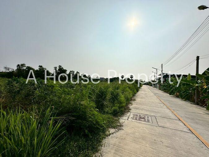 รูป ขายที่ดินเปล่าแปลงงาม เขตห้วยกะปิ เมืองชลบุรี ติดถนนหลัก ใกล้แหล่งชุมชน - รูปที่ 5/16