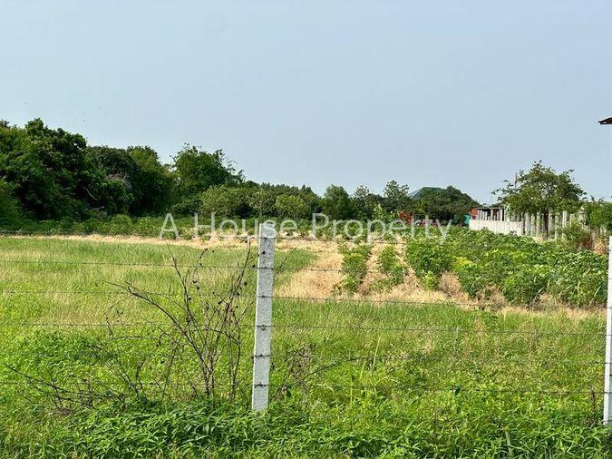 รูป ขายที่ดินเปล่า ในเขตห้วยกะปิ แปลงสวย ทำเลดี ติดถนนหลัก - รูปที่ 1/11