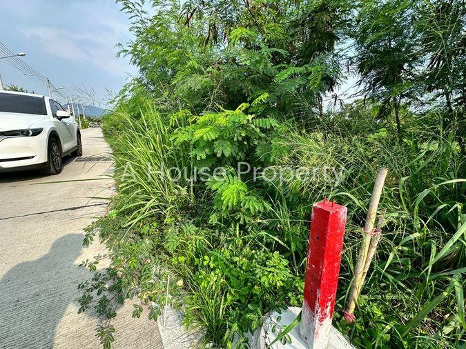 รูป ขายที่ดินเปล่าแปลงงาม เขตห้วยกะปิ เมืองชลบุรี ติดถนนหลัก ใกล้แหล่งชุมชน - รูปที่ 12/16