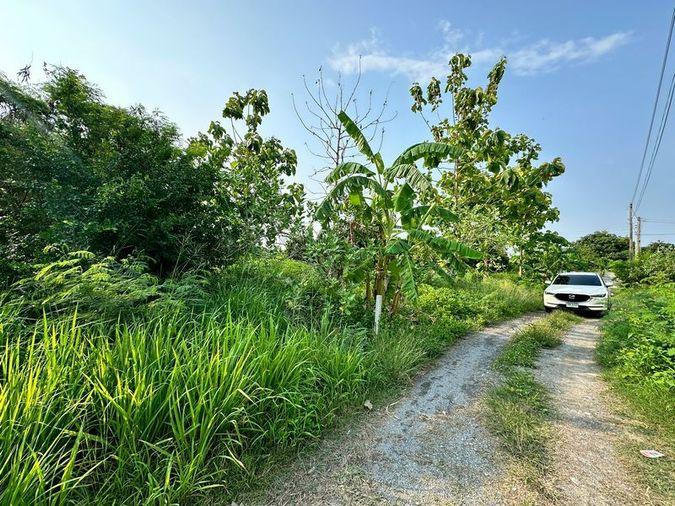 picture Land for sale, Huai Kapi area, beautiful plot, cheap price, near tourist attractions, Chonburi - 8/12