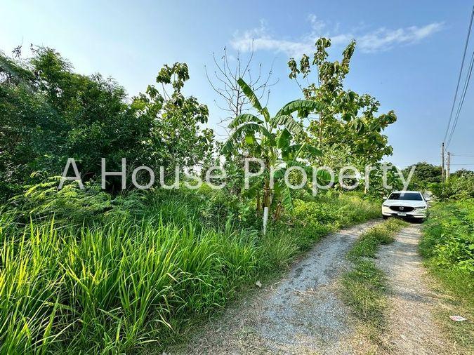 picture Land for sale, Huai Kapi area, beautiful plot, cheap price, near tourist attractions, Chonburi - 8/12