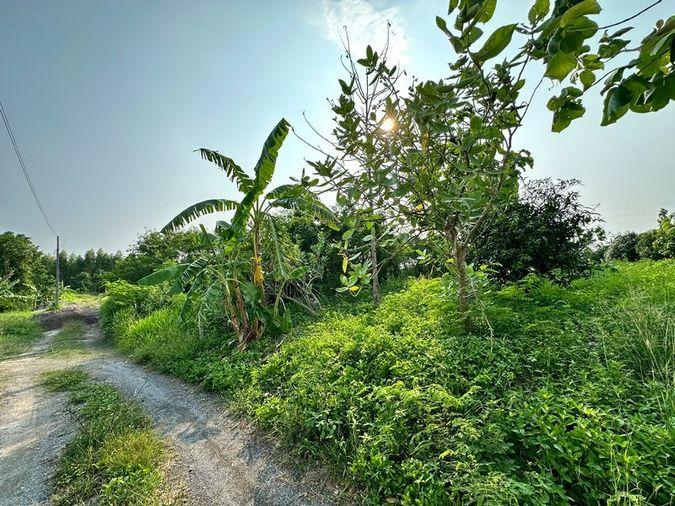 picture Land for sale, Huai Kapi area, beautiful plot, cheap price, near tourist attractions, Chonburi - 2/12