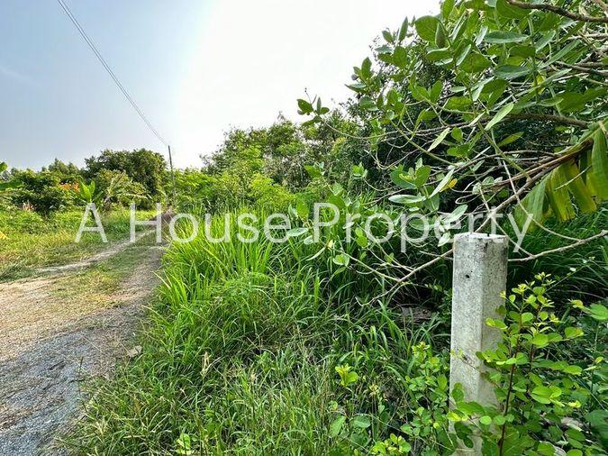 picture Land for sale, Huai Kapi area, beautiful plot, cheap price, near tourist attractions, Chonburi - 6/12