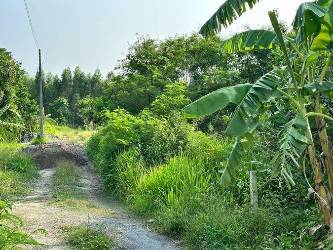 picture Land for sale, Huai Kapi area, beautiful plot, cheap price, near tourist attractions, Chonburi - 3/12