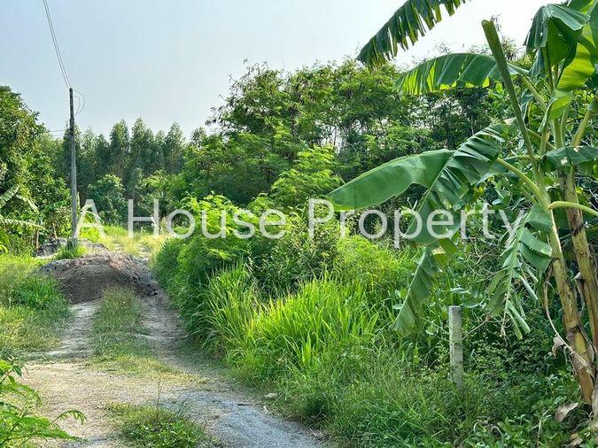 picture Land for sale, Huai Kapi area, beautiful plot, cheap price, near tourist attractions, Chonburi - 3/12