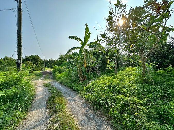 picture Land for sale, Huai Kapi area, beautiful plot, cheap price, near tourist attractions, Chonburi - 1/12