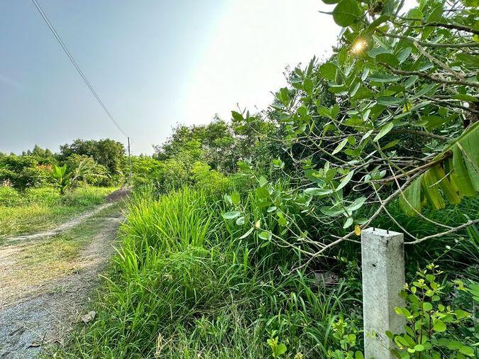 picture Land for sale, Huai Kapi area, beautiful plot, cheap price, near tourist attractions, Chonburi - 7/12