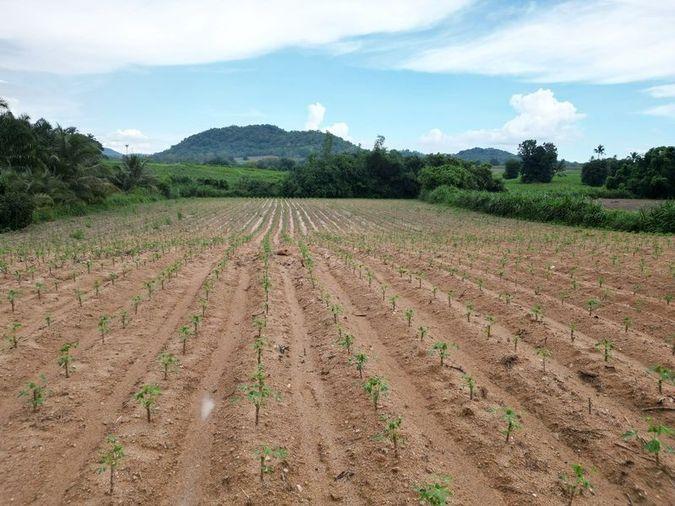 picture Beautiful land plot for sale, beautiful location, next to Khon Dara Road, Sriracha, Chonburi - 8/9
