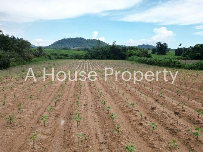 picture Beautiful land plot for sale, beautiful location, next to Khon Dara Road, Sriracha, Chonburi - 8/9