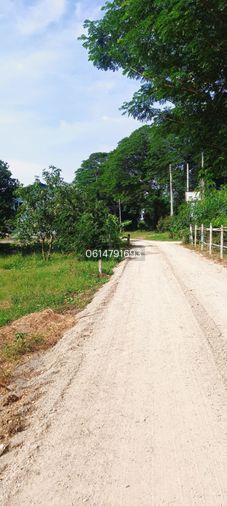 รูป ขายที่ดิน 6 ไร่ กาญจนบุรี บ้านถ้ำมังกรทอง ต. เกาะสำโรง ราคา 8.2 ลบ. - รูปที่ 3/3