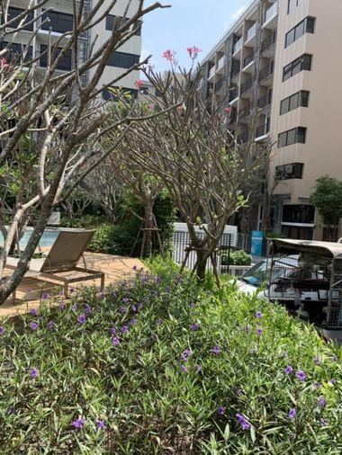 รูป Blossom Condo @ Sathorn - Charoenrat (บลอสซั่ม คอนโด แอท สาทร - เจริญราษฎร์)  คอนโด 2 ชั้น  ขนาดห้อง 46. 52ตร.ม พื้นที่ใช้สอยต่อเติม 11 ตร.ม - รูปที่ 19/19