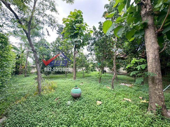 รูป ขายบ้านเดี่ยว 2 ชั้น 5 ห้องนอน เนื้อที่กว่า 1 ไร่ ซอยอ่อนนุช 66 - รูปที่ 9/31