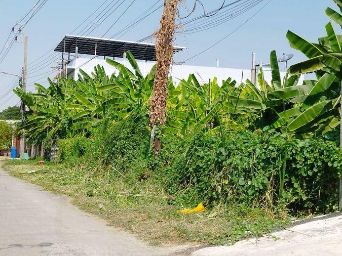 รูป ขายด่วน ที่ดิน 339 ตร.ว.เหมาะทำคฤหาสน์ อพาร์ทเมนท์ เพียง 7.9 ล้านบาท - รูปที่ 7/7