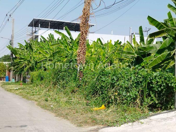 รูป ขายด่วน ที่ดิน 339 ตร.ว.เหมาะทำคฤหาสน์ อพาร์ทเมนท์ เพียง 7.9 ล้านบาท - รูปที่ 7/7