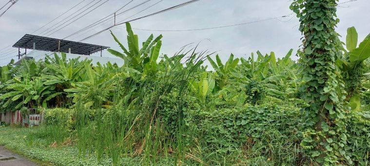 รูป ขายด่วน ที่ดิน 339 ตร.ว.เหมาะทำคฤหาสน์ อพาร์ทเมนท์ เพียง 7.9 ล้านบาท - รูปที่ 5/7