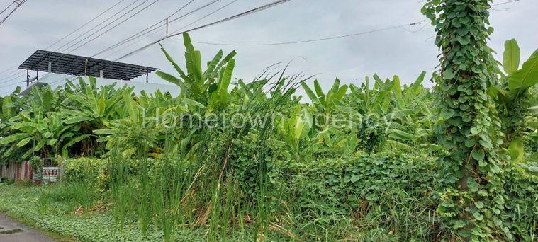 รูป ขายด่วน ที่ดิน 339 ตร.ว.เหมาะทำคฤหาสน์ อพาร์ทเมนท์ เพียง 7.9 ล้านบาท - รูปที่ 5/7