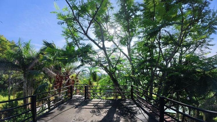 รูป ขายบ้านสวนบางพระ ใกล้แหล่งท่องเที่ยว สวนสัตว์เปิดเขาเขียว ชลบุรี - รูปที่ 11/18