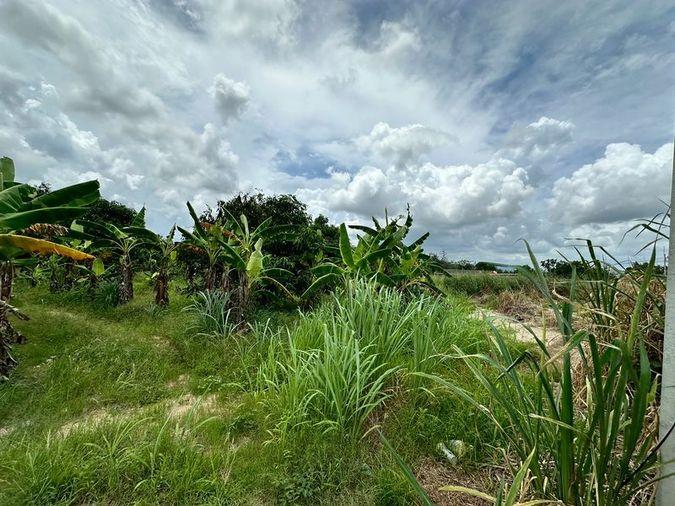 picture Beautiful vacant land plot for sale, full mountain view, Nong Kham area, Sri Racha, Chonburi - 1/14