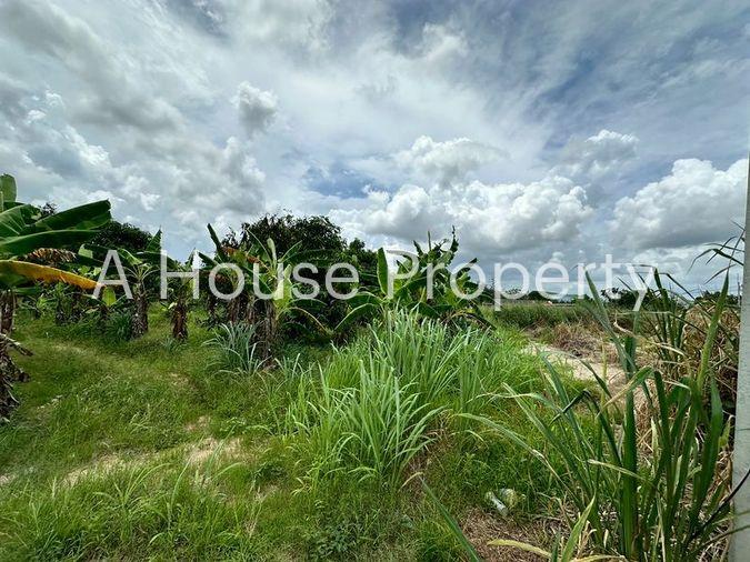 picture Beautiful vacant land plot for sale, full mountain view, Nong Kham area, Sri Racha, Chonburi - 1/14