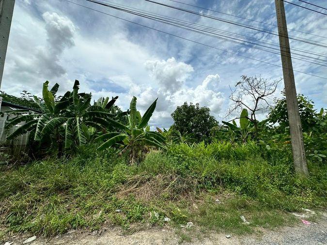 picture Beautiful vacant land plot for sale, full mountain view, Nong Kham area, Sri Racha, Chonburi - 3/14