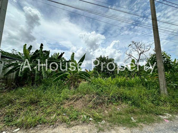 picture Beautiful vacant land plot for sale, full mountain view, Nong Kham area, Sri Racha, Chonburi - 3/14