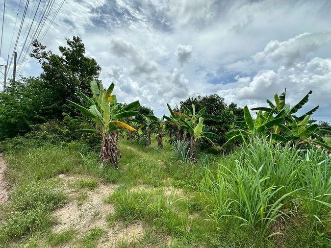 picture Beautiful vacant land plot for sale, full mountain view, Nong Kham area, Sri Racha, Chonburi - 2/14