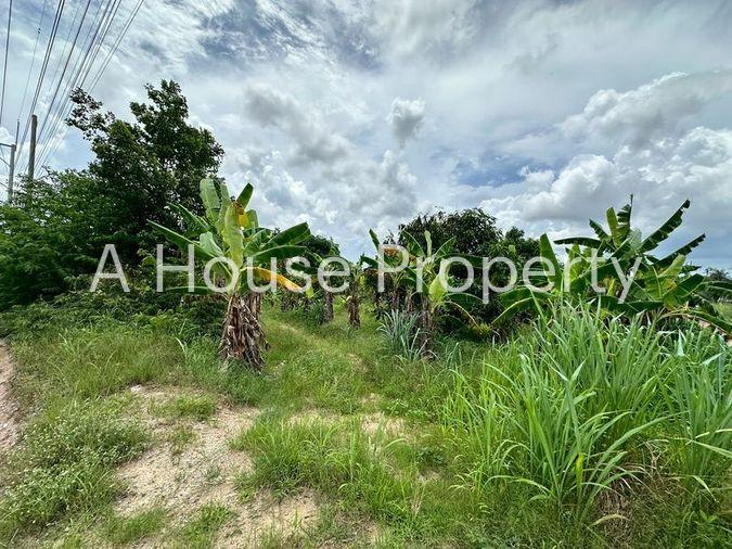 picture Beautiful vacant land plot for sale, full mountain view, Nong Kham area, Sri Racha, Chonburi - 2/14