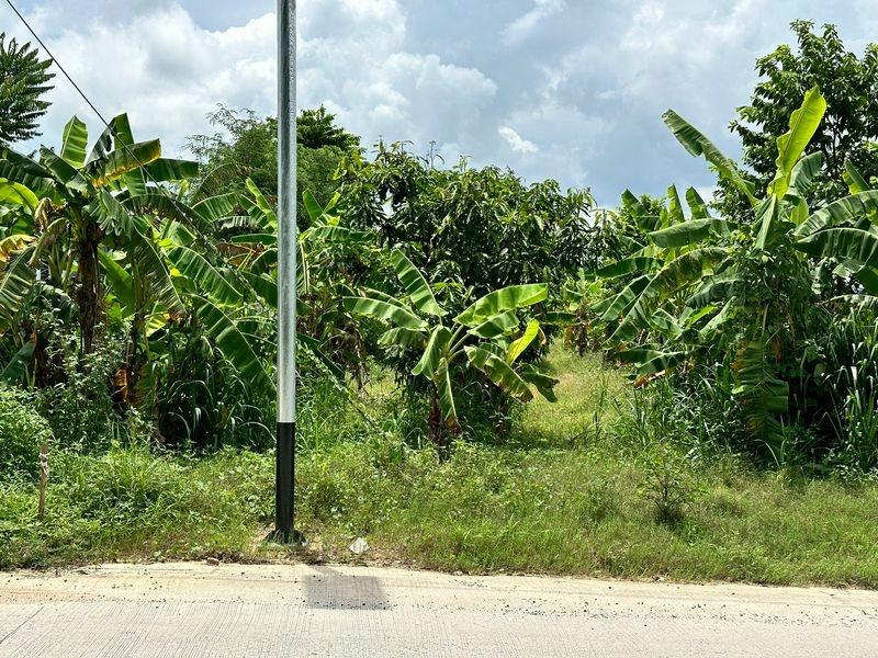 picture Cheap land for sale, beautiful plot, good location, Nong Kham area, Sri Racha, Chonburi - 8/14