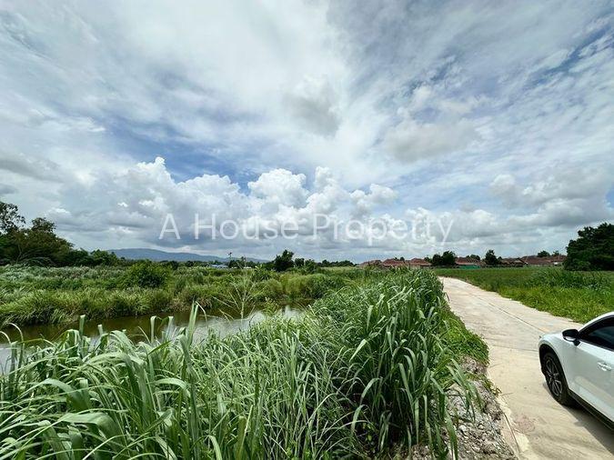 รูป ขายที่ดินเปล่าศรีราชา หนองขาม แปลงสวย ติดกับ ไร่คาราวาน (คอกม้า) - รูปที่ 6/19