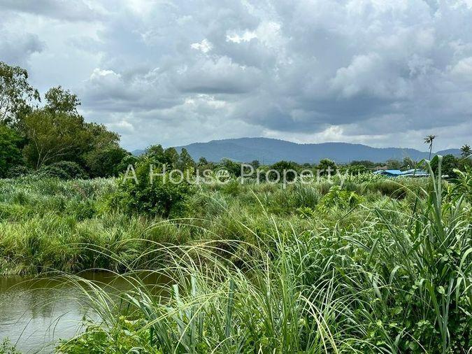 รูป ขายที่ดินเปล่าศรีราชา หนองขาม แปลงสวย ติดกับ ไร่คาราวาน (คอกม้า) - รูปที่ 9/19