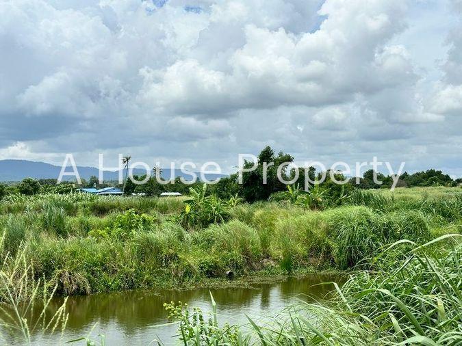 รูป ขายที่ดินเปล่าศรีราชา หนองขาม แปลงสวย ติดกับ ไร่คาราวาน (คอกม้า) - รูปที่ 3/19